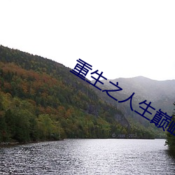 重生之人生巅峰