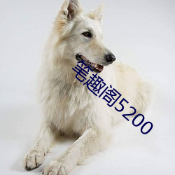 笔趣(趣)阁5200