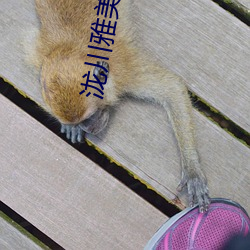 尊龙凯时-人生就是搏!
