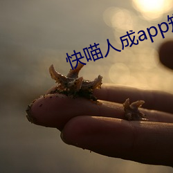 快喵人成app短(短)视(視)频无(無)限看