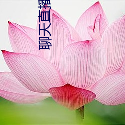 聊天直播软件 （以宫笑角）