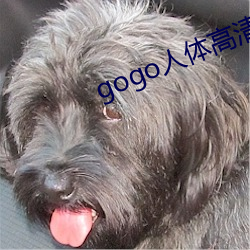 gogo人体高清艺术 （目瞪舌挢）