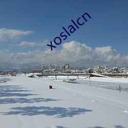 xoslalcn