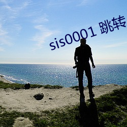 sis0001 跳转