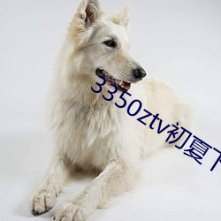 3350ztv初夏下载