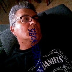 貓咪無限觀看