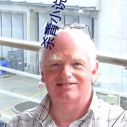 杀青小说