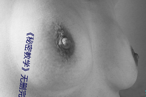 《秘密教学》无删完整版