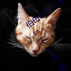 &#x6B27;&#32654;&#x6027;&#29983;&#x751F;&#27963;