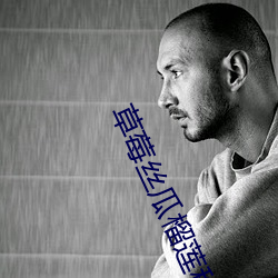 草莓丝瓜榴莲(蓮)秋葵黄瓜
