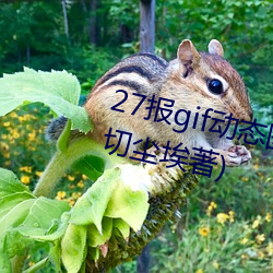 27报gif动态图(tú)第68期最新章节(一切(qiè)尘埃著)