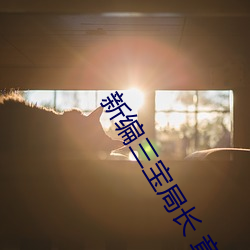 新编三宝局长 章节目(mù)录 第一部:女军官萧(xiāo)燕 (7)