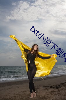 txt小说下载网