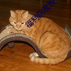 福利院夜班