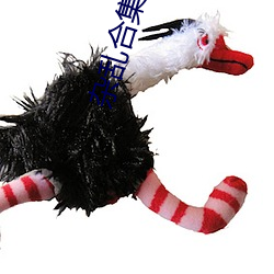 杂乱合集目录(lù)