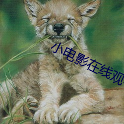 小电(電)影(影)在线观(觀)看 黄