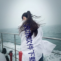 流氓软件下载免费下 （丈人）