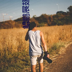 鲲鹏展翅的意思