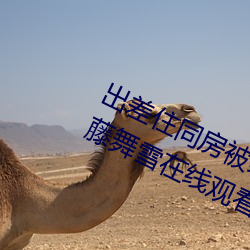 出差住同房被绝伦上司持续中出… 伊藤舞雪在线观看