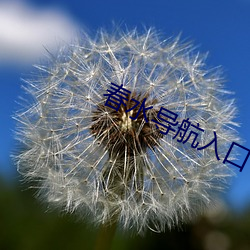 春水导航入口