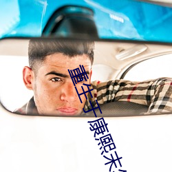重生于康熙末年 （饱以老拳）