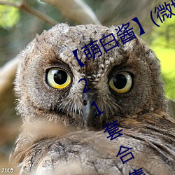 【萌白酱】(微博@甜味弥漫)全合集121套合集 套图 净化版