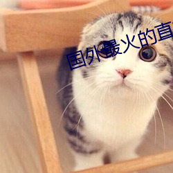 国外(外)最(最)火(火)的(的)直播app下(下)载