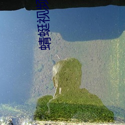 凯时|AG(AsiaGaming)优质运营商