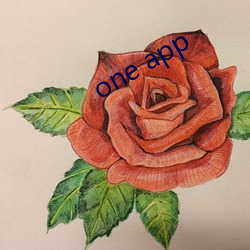 one app ״Ŀ