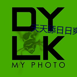 天天舔日日爽