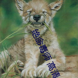 绝命毒师 高清 （类同）