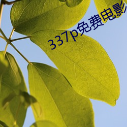 337p免(miǎn)费(fèi)电影