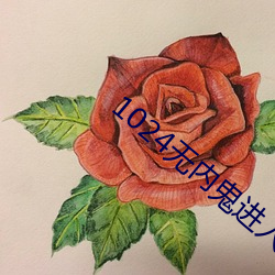 1024无内鬼(guǐ)进(jìn)入
