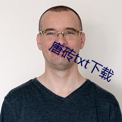 唐砖txt下载