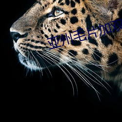 亚州(zhōu)毛片加(jiā)双