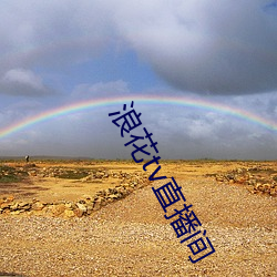 浪花tv直播间 （卫道）