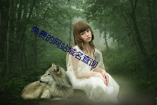 免费的网(wǎng)站域名查询