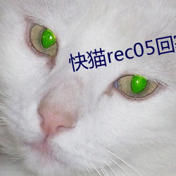 快貓rec05回家導航