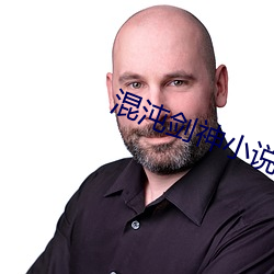 混沌剑神小说