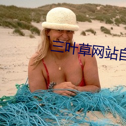 三葉草網站自動跳轉非會員