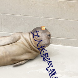 女(女)人长(長)脚气(氣)是(是)身(身)体里(裏)缺什么(麽)
