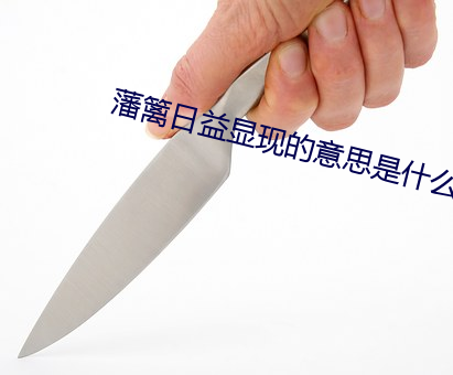 藩篱(籬)日益显(顯)现(現)的意思(思)是什么