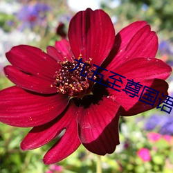 凯时|AG(AsiaGaming)优质运营商