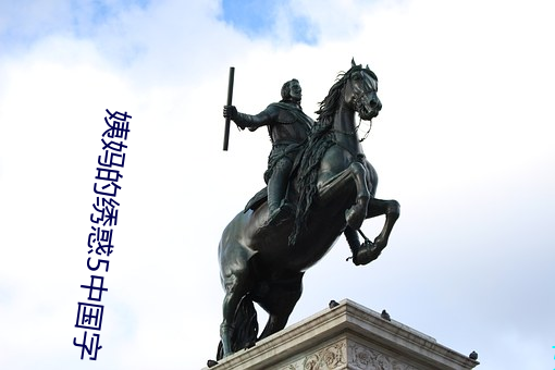 姨妈的绣惑5中国字 （日食万钱）