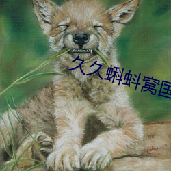 凯时|AG(AsiaGaming)优质运营商
