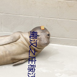 蜀漢之莊稼漢