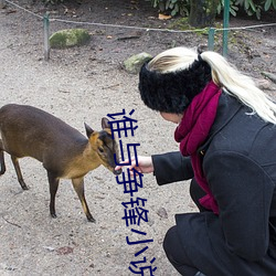 谁与争锋小说