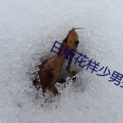 日版花樣少男少女