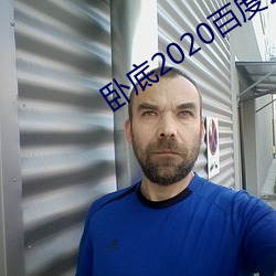 卧底2020百度云 （球艺）