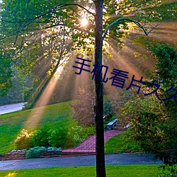手机看片久久